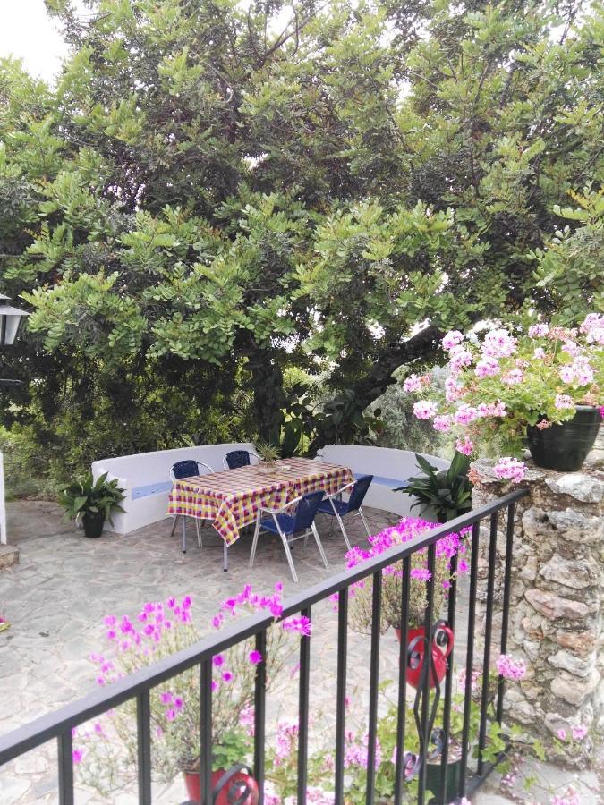 엘보스크 Casa El Cerro 빌라 외부 사진
