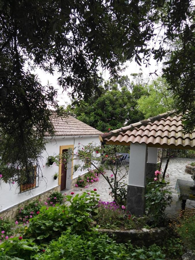 엘보스크 Casa El Cerro 빌라 외부 사진
