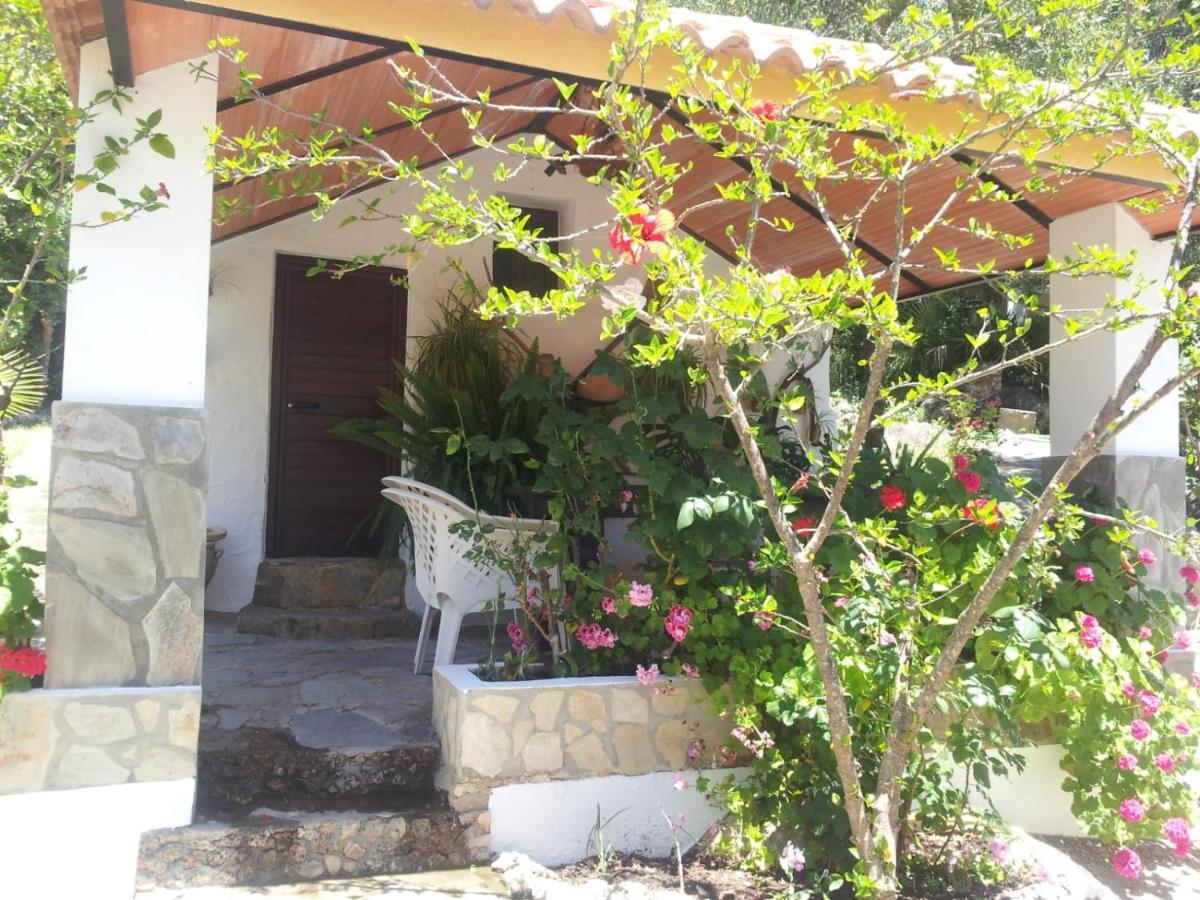 엘보스크 Casa El Cerro 빌라 외부 사진