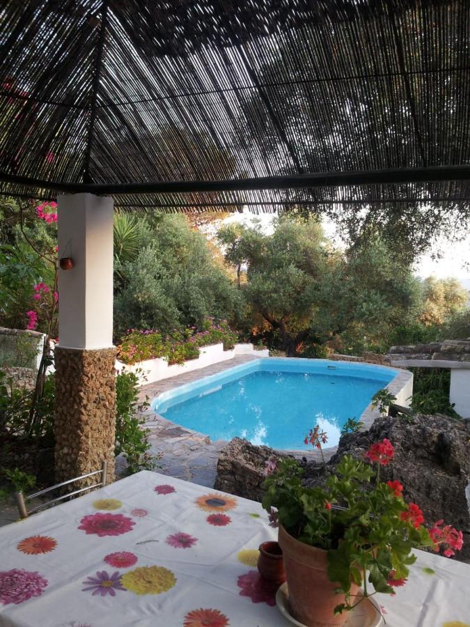 엘보스크 Casa El Cerro 빌라 외부 사진